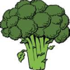 Sedona Farmers Market Business Threatened