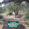 Keep Sedona Beautiful Speaker Series Presents Cliff Hamilton, Wildlife Biologist and Vice Mayor