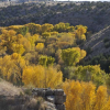 Verde River Clean Up Event