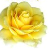 New Sedona Grief and Loss Support Group