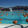 2012 Sedona Pumpkin Splash