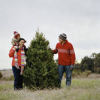 National Forest Christmas Tree Cutting Permits Available