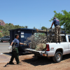 Sedona Annual Yard Waste Clean Up Scheduled