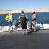 Lake Powell 2013 Safe Boating OUI Nets Offenders