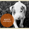 Harley McGuire and Red Rose Inspiration Save Animals