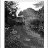 Free Coconino National Forest Map App