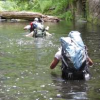 Boy Scout Troop Encounters West Fork Obstacles