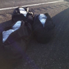 K9 Teams Busy Busting Drug Runners