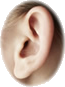 CDC Issues Cell Phone Radiation Caution