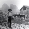 Sedona Heritage Museum History Tours