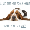 Go Vote with Harley McGuire and Pals