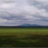 NAU Artist Residency Program
