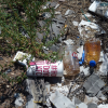 Combine Local Anti Litter Efforts