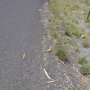 Partnering with ADOT