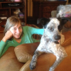 Help Find Lost Dog Asks Harley McGuire