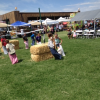 24th Annual Cornfest