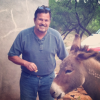 BLM Offers Cash Reward After Wild Burros Killed