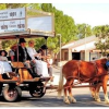 60th Annual Fort Verde Days