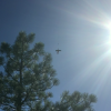 Sycamore Canyon Climber Severely Injured