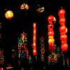 Chinese New Year Celebrated in Sedona
