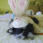 SedonaEye.com Four Paws Up Pet Columnist Harley McGuire is ready to meet the Easter Bunny