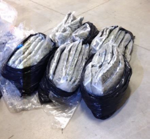 Two Californians arrested for transporting marijuana to Texas for illegal sales