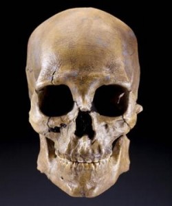Kennewick Man's skull, front view. Credit: Courtesy of Smithsonian/Chip Clark