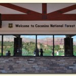 coconino national forest welcome center