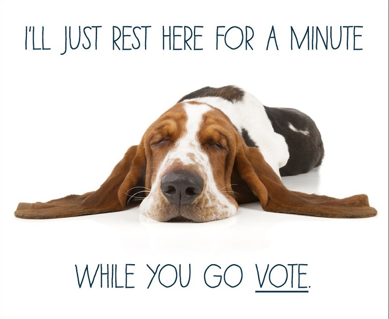 vote puppy