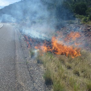 Sedona 89A fire near Sedona HS-4