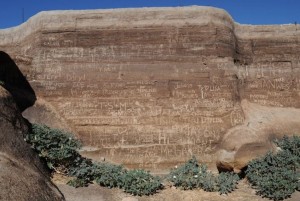 Graffiti forced closure of Joshua Tree National Monument now Park and the most popular hiking trails may remain off limits. Pets are not allowed more than 100 feet from a road, picnic area, or campground and are prohibited from all trails and must be leashed at all times. Damage to the ancient site may be permanent.