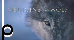 medicine wolf